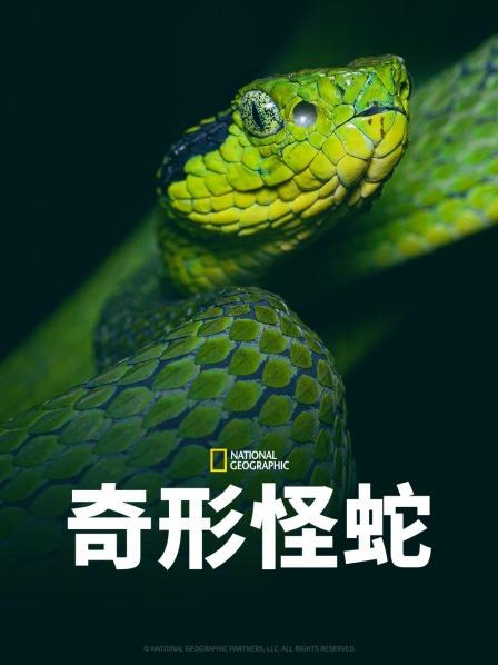 51黑料曝光吃瓜网《奇形怪蛇》免费在线观看